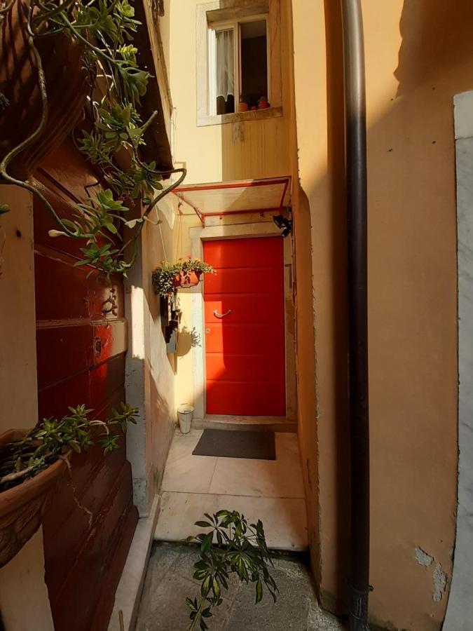 カッラーラIl Nido Dell'Arancioアパートメント エクステリア 写真